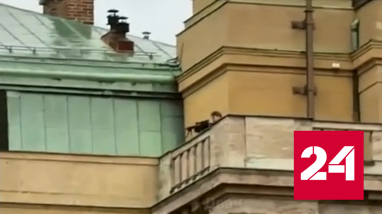 Пражский стрелок готовился к нападению заранее - Россия 24