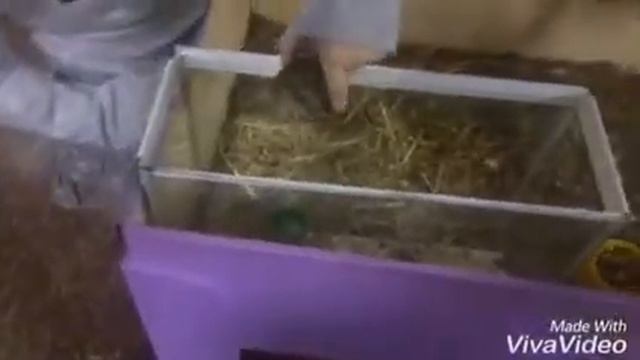 Улькер Манафлы в зоопарке Bala Zoo – новый зоопарк в Баку