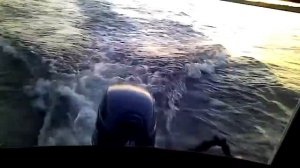 Прогресс 4 + Sea-pro 40 (10)
