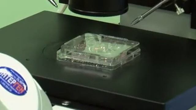 Клиника репродуктивной медицины и отделение эмбриологии ЕМС