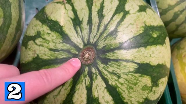How to pick the PERFECT Watermelon EVERY TIME?(4 SECRET Tricks)? смотреть онлайн