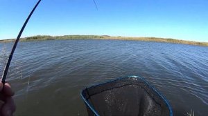 Мормышинг.  Осенний жор карася и первые сазанчики на спиннинг