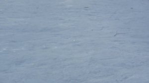 Съезд с горки на снегокате Аргамак