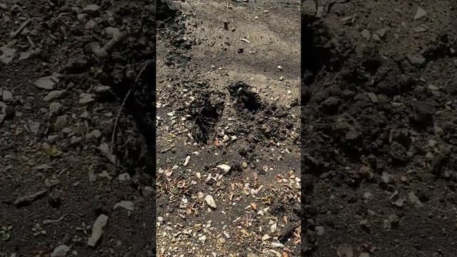 Юмагузинское водохранилище! Рыбалка на Юмагузинском водохранилище! РЫБАКИ НЕУДАЧИ!