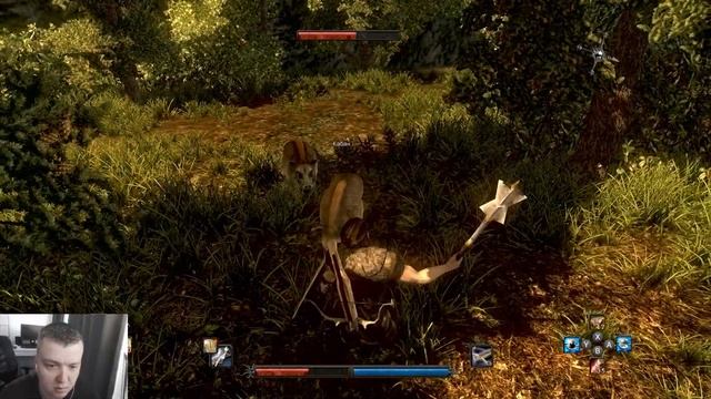 Прохождение Risen на Nintendo Switch | ч.25 Зачистка болота. Люди ящеры. Кристальные диски смотреть онлайн