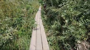 Вилково. Ерики, кладки... Почему Вилково называют украинской Венецией?