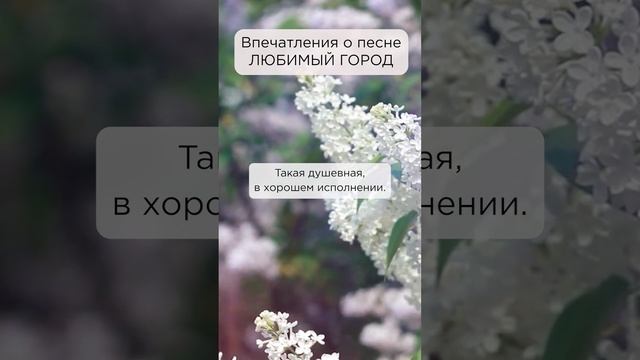 Песня душевная, с удовольствием прослушала! Наталья, г. Новосибирск #сказочныймир #любимыйгород