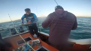 EP 8 - Langebaan Lagoon Fishing | Stumpnose | Kraalbaai