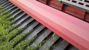 жатка для уборки подсолнечника НАШ-7.4-0.4 экспресс-обзор от Константина Сорокина