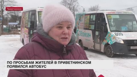 По просьбам жителей в Приветнинском появился автобус