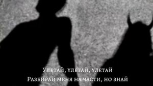 улетай tara