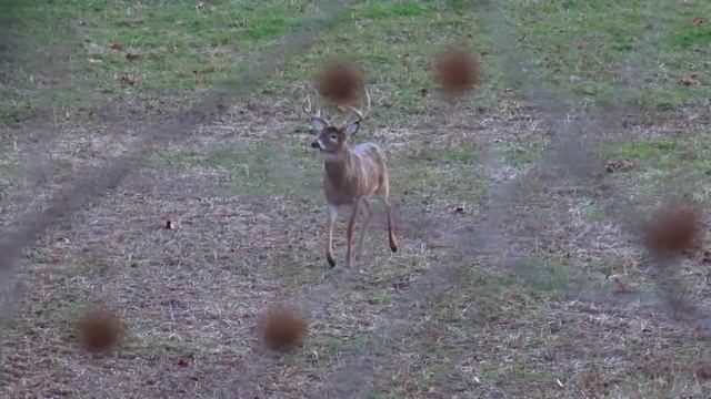 Understanding Your Challenges - Whitetail Deer Hunting Part Two смотреть онлайн