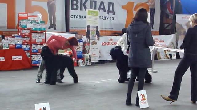 05.05.13.Сравнение на ЛПП смотреть онлайн