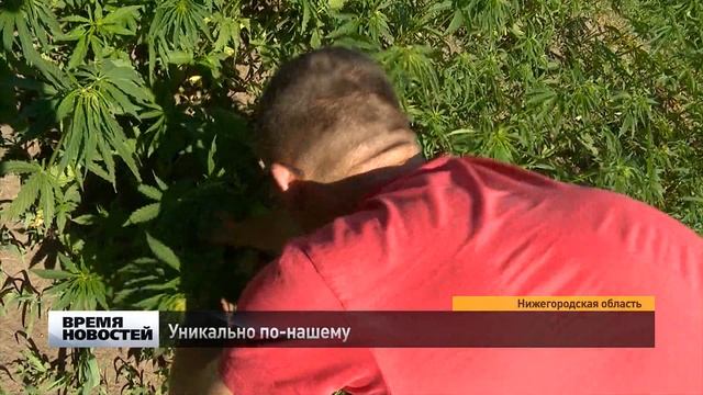 Уникальное производство акриловых дисперсий компании «Хома» в Нижегородской области смотреть онлайн
