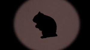 Нерпа Юма. Сказки Байкала.