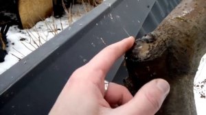 Минусы использования садового вара при обрезки плодовых деревьев?✂?????