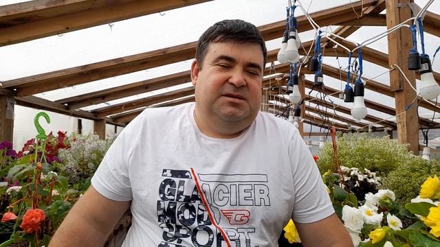 ОСЕННИЕ ЦВЕТЕНИЕ СУПЕР КРАСИВЫЕ РАСТЕНИЯ. смотреть онлайн