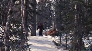 Я ЕЙ ВСЁ СКАЖУ   молчу молчу из кф Морозко