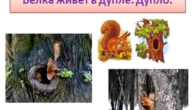 Кто? Где живёт? Видеоурок для 2-3 классов для учащихся с ОВЗ смотреть онлайн