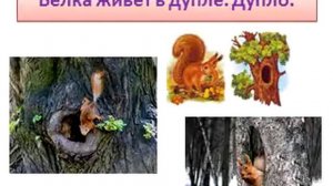 Кто? Где живёт? Видеоурок для 2-3 классов для учащихся с ОВЗ