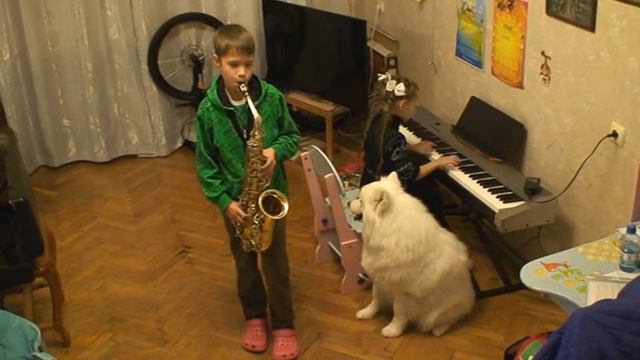 595 Ансамбль ''Айя'' Арсений Апанасов и Ксения Лазарева, Шерлок смотреть онлайн