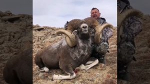 САМЫЙ БОЛЬШОЙ ГОРНЫЙ БАРАН (ARKHAR HUNTING)