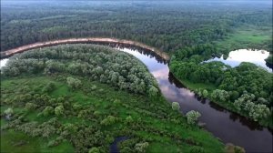 Шумел сурово Брянский лес