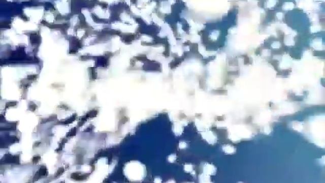 Mac OS X Panther Developer Intro смотреть онлайн