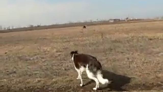 рпб Магия-Магдалейн.MOV смотреть онлайн