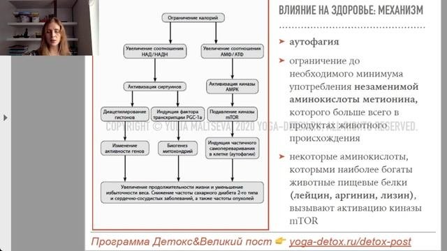 Голодание и псевдоголодание для здоровья и долголетия