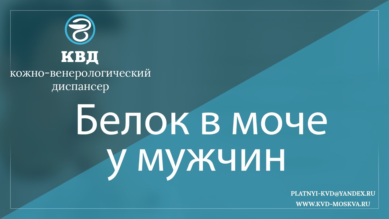 Почему белок в моче у мужчин повышен. Почему белок в моче у мужчин повышен. Протеинурия как определить. Почему белок в моче у мужчин повышен. Показатели белка в моче при беременности норма таблица.