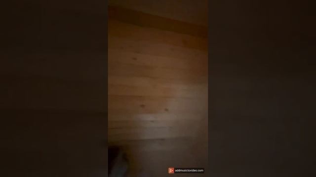 Мобильная Брусовая баня 150х150 из профилированного бруса. «Каркасные технологии» Рязань. смотреть онлайн