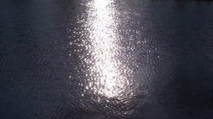 РЯБЬ НА ВОДЕ