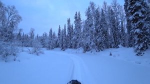 ТРИ дня отдыха в лесной избе. Рыбалка и быт в тайге. Уход за казаном. 3#