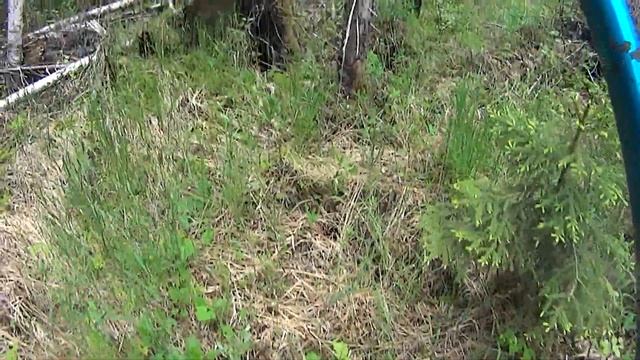 Рыбалка в Архангельской области