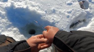 Рыбалка на севере Карелии. Топозеро. Часть 2.