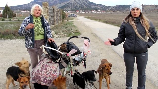 Спасение животных в Судаке . часть 2 . смотреть онлайн