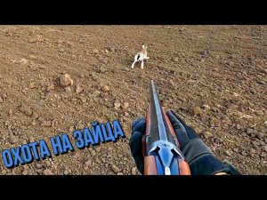 Охота на зайца Кубань 2022