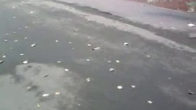 ученики 8 школы рулят!!!! смотреть онлайн