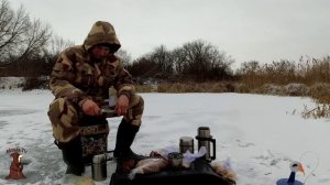 Первый Лёд 2021-2022 Щука и Окунь на жерлицы в затонах реки Сок Зимняя рыбалка в Самарской области