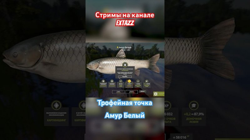 НОВАЯ АКТУАЛЬНАЯ ТОЧКА ОЗ.МЕДВЕЖЬЕ #стрим #рыбалка #russianfishing4 #fishing #трофей #carpfishing