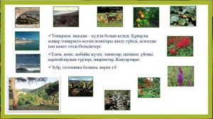 ІІ тоқсан. География, 8 сынып. Солтүстік жарты шар материктерінің табиғат зоналары