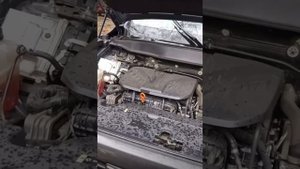 Таласол и антифриз