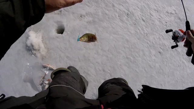 Окунь на БАЛАНСИРЫ! Самаркандское водохранилище! смотреть онлайн