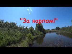 "За карпом!" (пруд набитый карпиком).