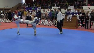 Christmas taekwondo WTF tournament-2017. Pelgrimov.