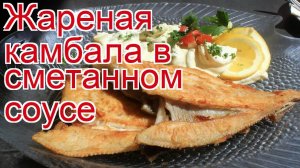 Рецепты из Камбалы - как приготовить камбалу пошаговый рецепт - Жареная камбала в сметанном соусе