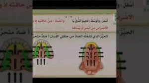 Правильное произношение буквы дод "ضاد" مخرج(махрадж)