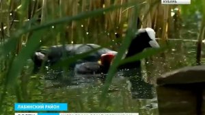 37 змей покусало мужчину/ Рыбалка в краснодаре/во время рыбалки мужчину покусали 37 змей