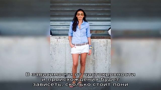 Пони: особенности карликовых пород